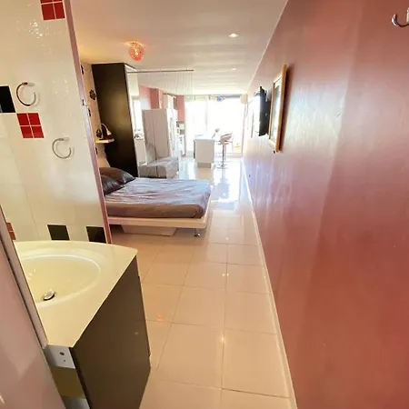 Appartamento 2 Couchages Cap D'agde Naturisme Cn060-ab146 Agde